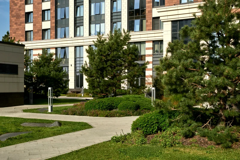BAUHAUS