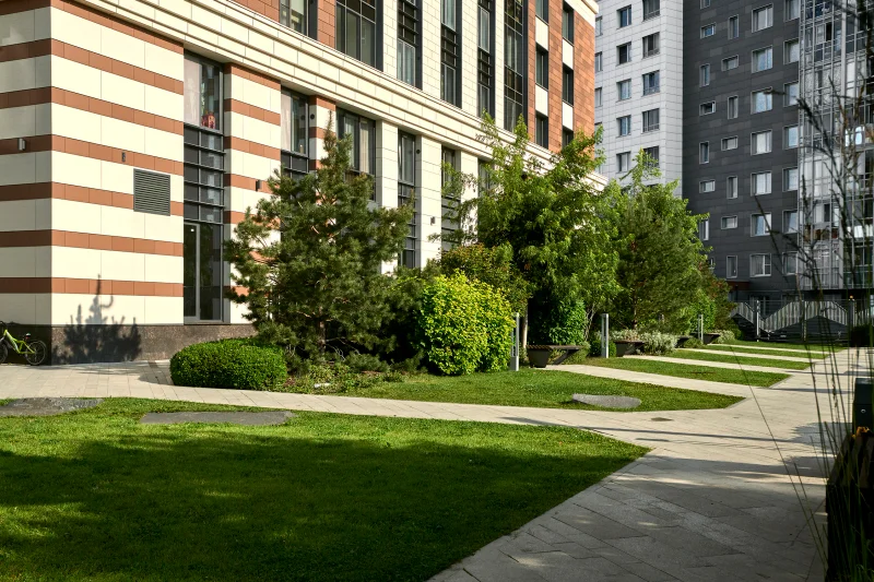 BAUHAUS