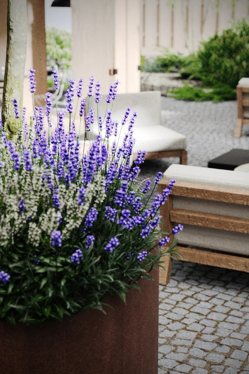 chainyi-dom m gallery