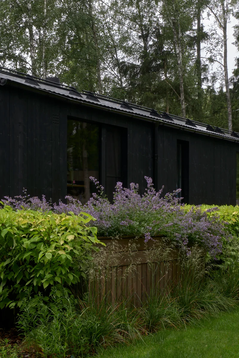 HAUS IM WALD