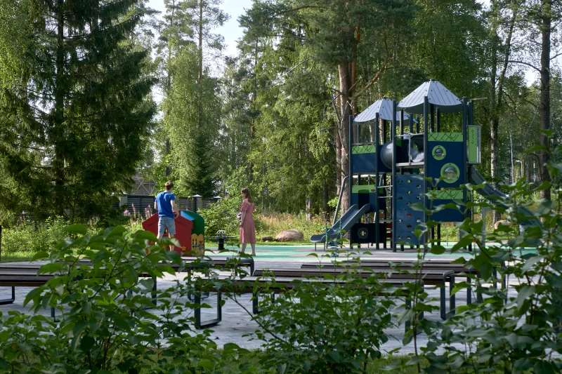 Репино Парк