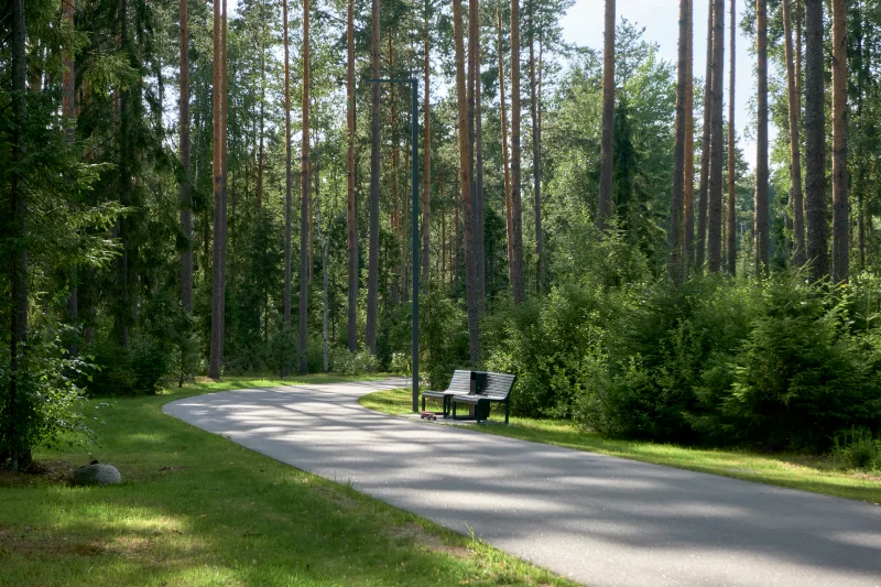 Репино Парк