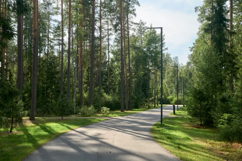 Репино Парк