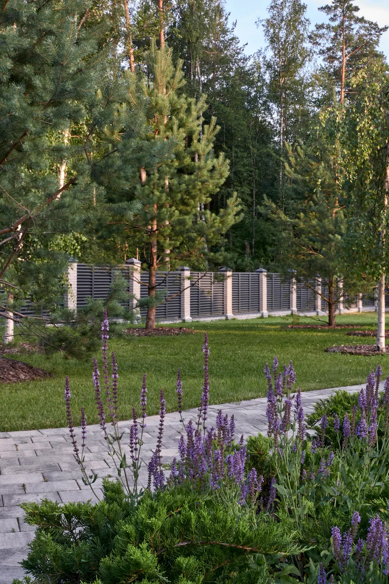 Репино Парк