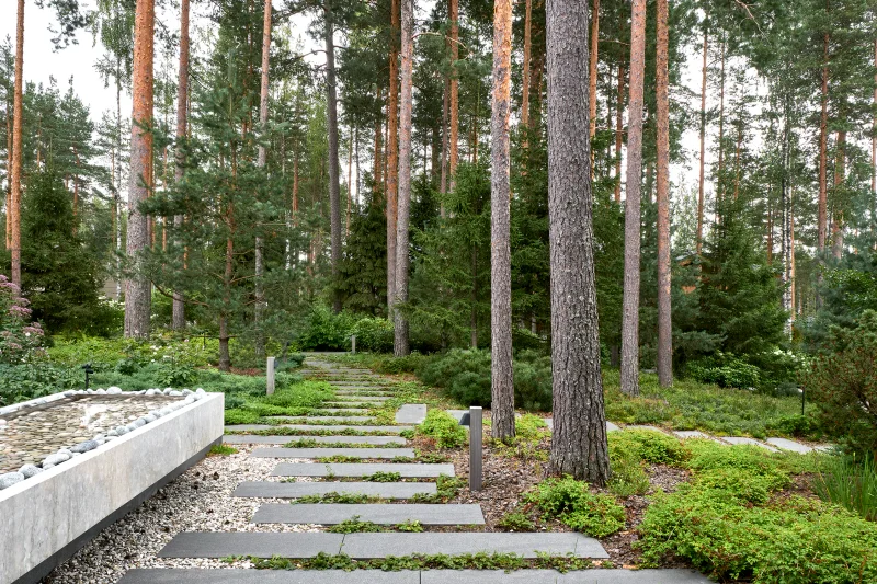 Северный сад